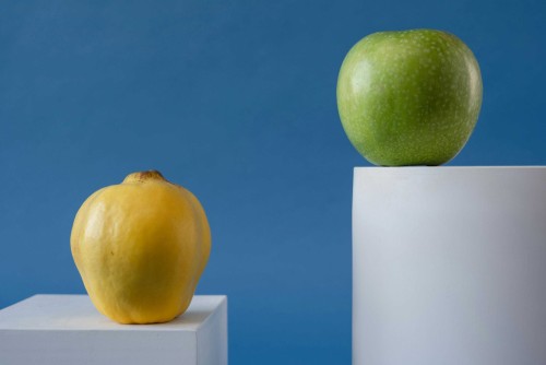 Buchhaltung fuer selbststaendige im vergleich milkee vs quitto vs bexio 01